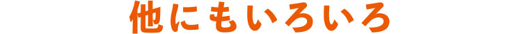 他にもいろいろ