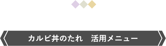 カルビ丼のたれ　活用メニュー