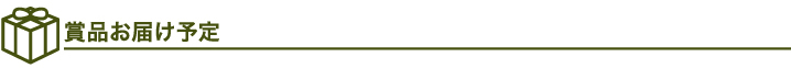 賞品お届け予定